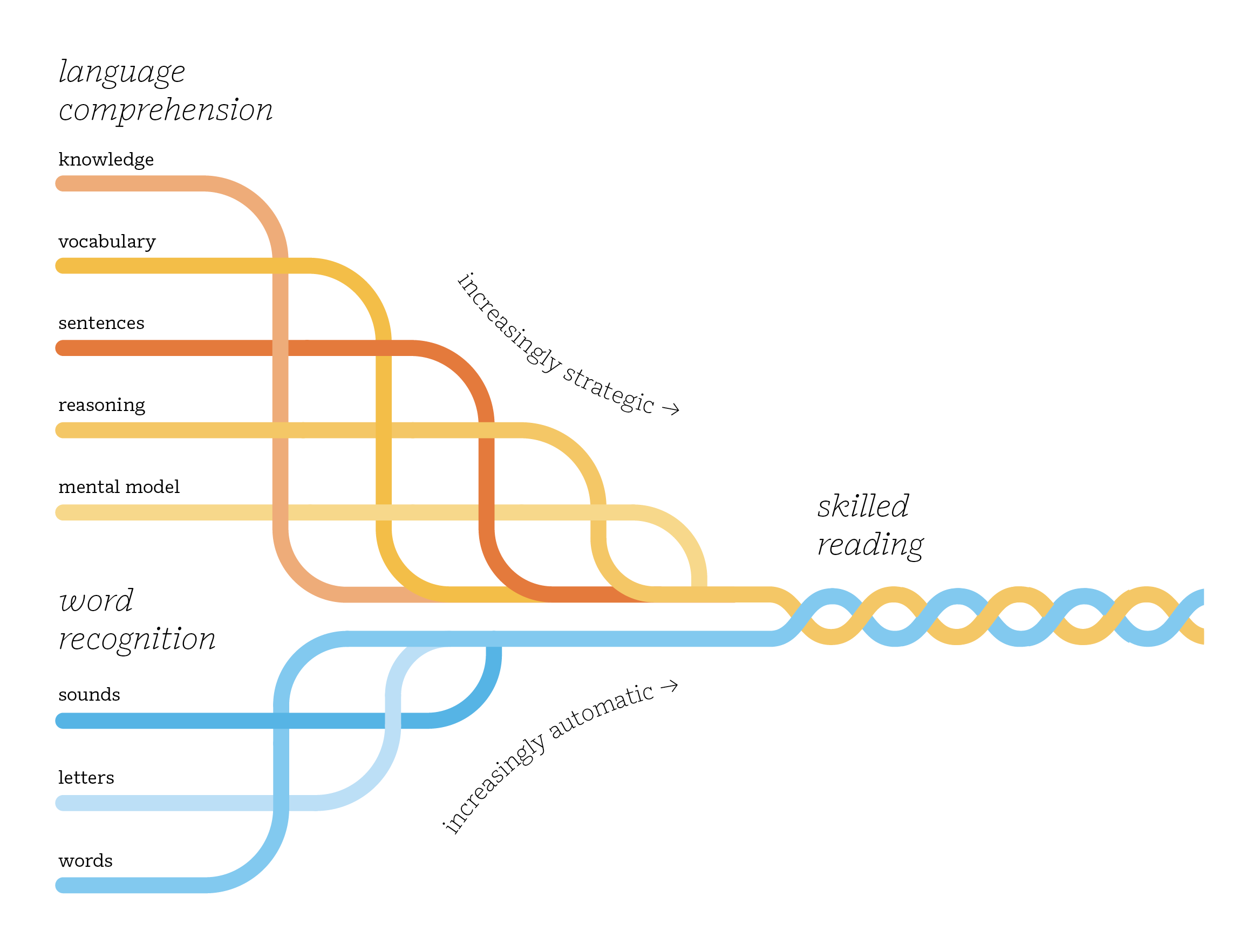 A diagram showing the simple view of reading by combining language comprehension and word recognition at various levels, leading to expert reading.