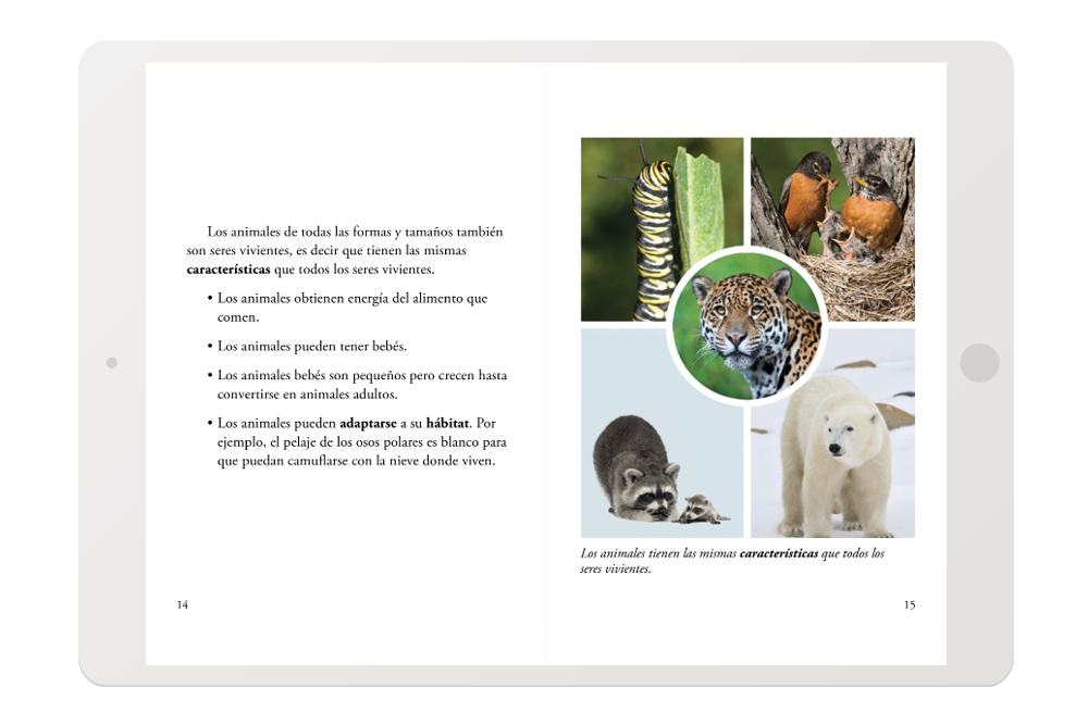 CKLA Caminos_4-Robust digital materials