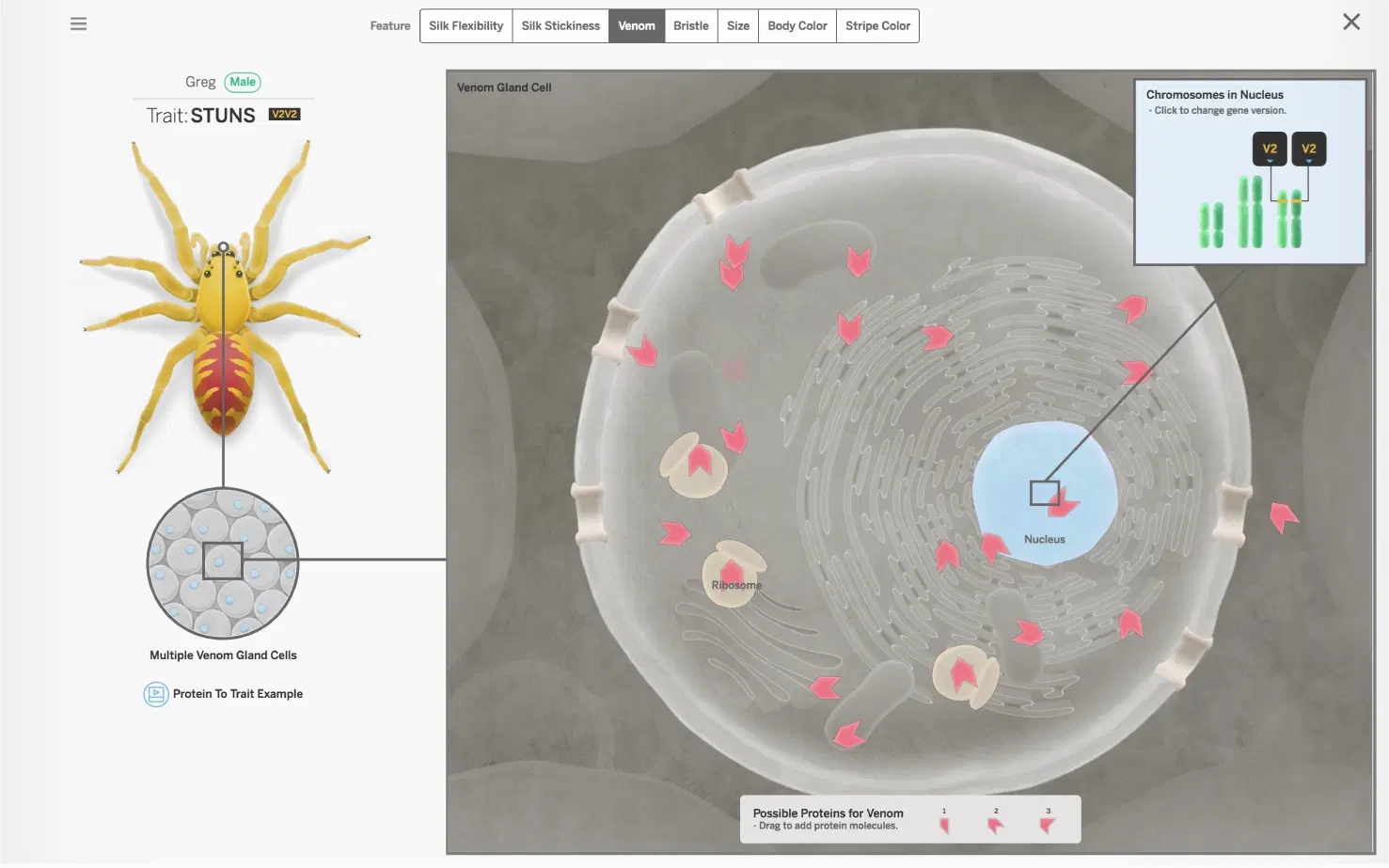 Traits and Reproduction unit