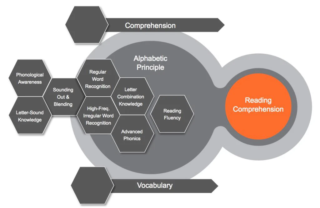 Diagram illustrating the components of reading comprehension, including alphabetic principle, vocabulary, and fluency, connected by arrows to a central circle labeled "reading comprehension.