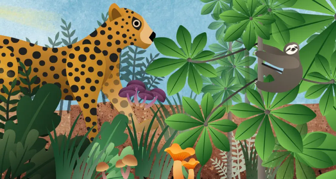 An illustration from the Ecosystem Restoration unit