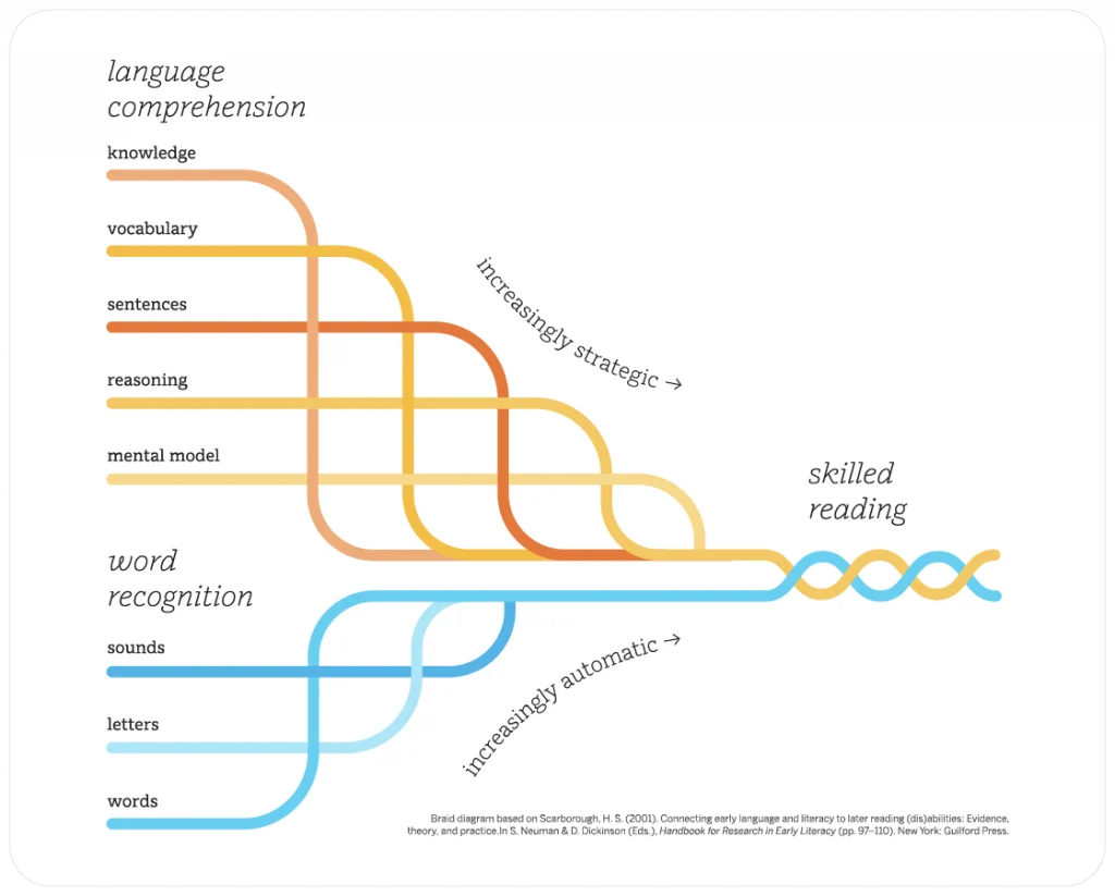 Diagram illustrating the interplay between language comprehension and word recognition in reading, as seen in early literacy stages. It highlights pathways through knowledge, vocabulary, and sentence understanding, reflecting principles from the CKLA reading program.