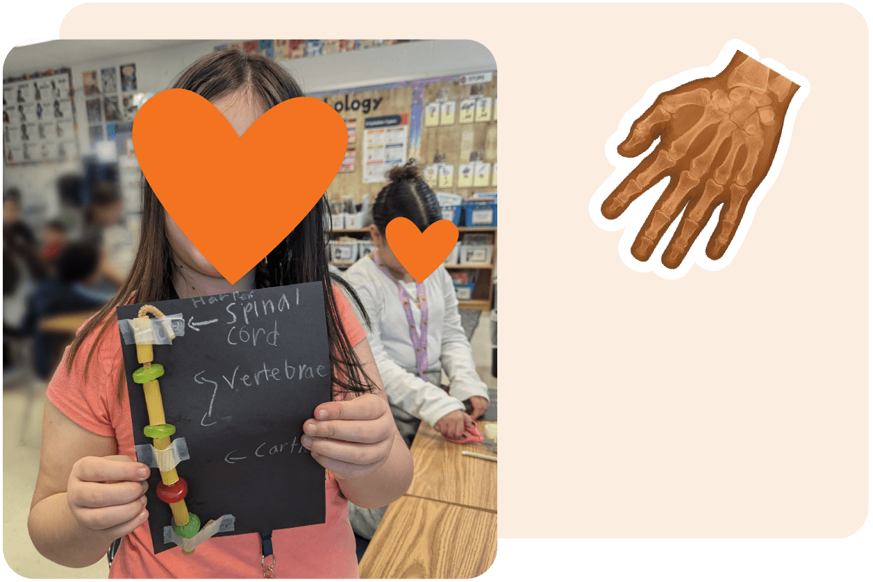 Child holding a model of a spinal cord made with beads and pipe cleaners in a classroom. Another child is in the background at a desk.