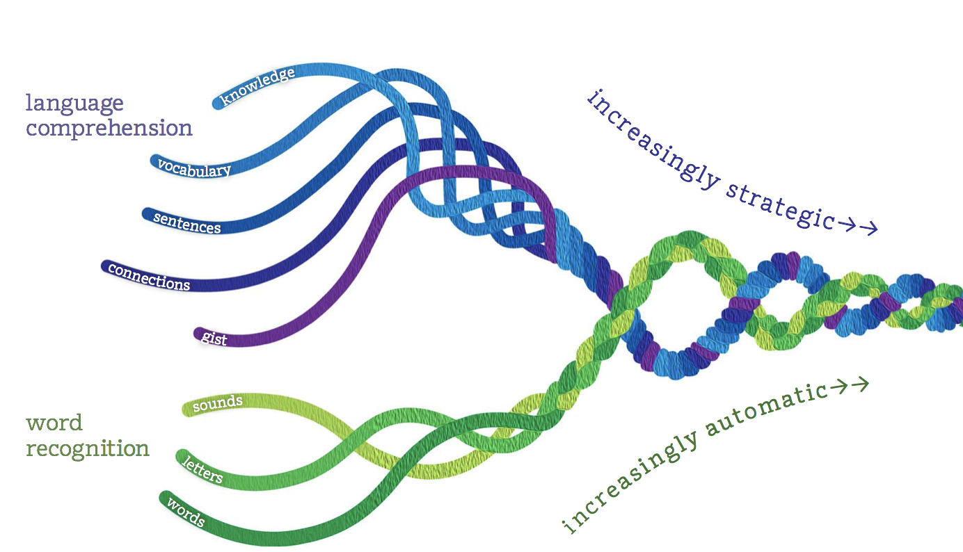 Illustration of two strands: one for language comprehension with components like knowledge and vocabulary, and another for word recognition with elements like sounds and letters, intertwining.