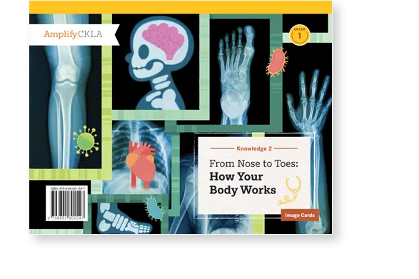 Educational book cover titled "From Nose to Toes: How Your Body Works" featuring X-ray images and illustrations of human anatomy.