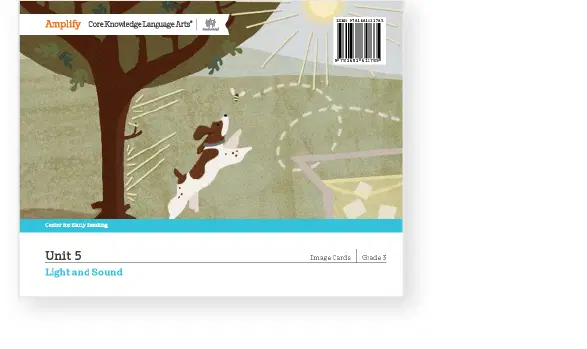 Illustrated cover depicting a dog chasing a bee under a tree with a sun and lens flare in the background. Text reads "Unit 5, Light and Sound, Image Cards, Grade 3" with Amplify logo.