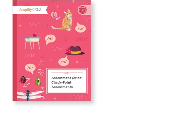 Cover of a book titled "Assessment Guide: Check-Point Assessments" with images of a cat, dragonfly, bugs, and a hat on a red background.
