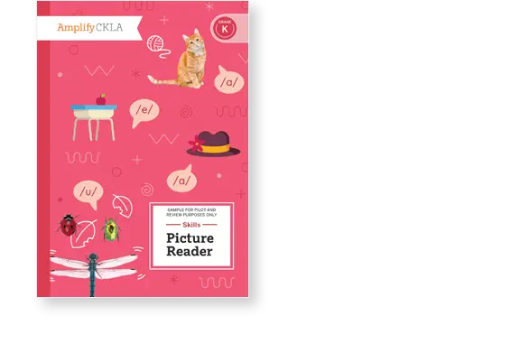 Red book cover titled "Skills Picture Reader." Features illustrations of a cat, table, insects, dragonfly, and a hat with speech bubbles containing vowels. Designed for kindergarten.