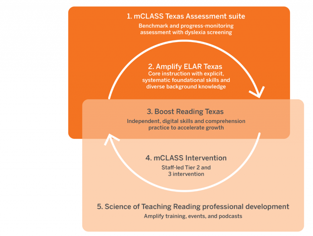 Flowchart showing five components of a reading program: assessment suite, core instruction, skill boosting, intervention, and professional development, arranged in sequential steps.