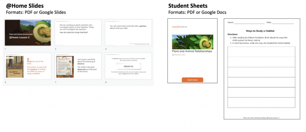 Preview of @Home Slides showing lesson content and Student Sheets with a worksheet. Both are available in PDF or Google formats.