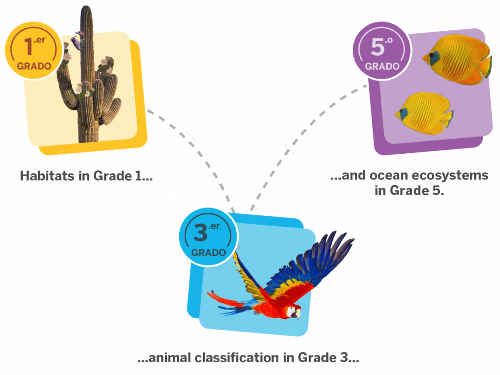 Illustration of a cactus, macaw, and fish representing topics for grades 1, 3, and 5: habitats, animal classification, and ocean ecosystems in the context of the Amplify Caminos Spanish language arts curriculum.
