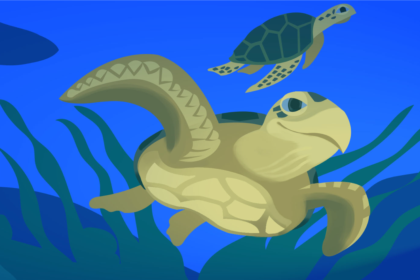 Two sea turtles swim underwater among green seaweed, with a blue background representing the ocean—an inspiring scene to ampliar el plan de estudios and explore marine life.