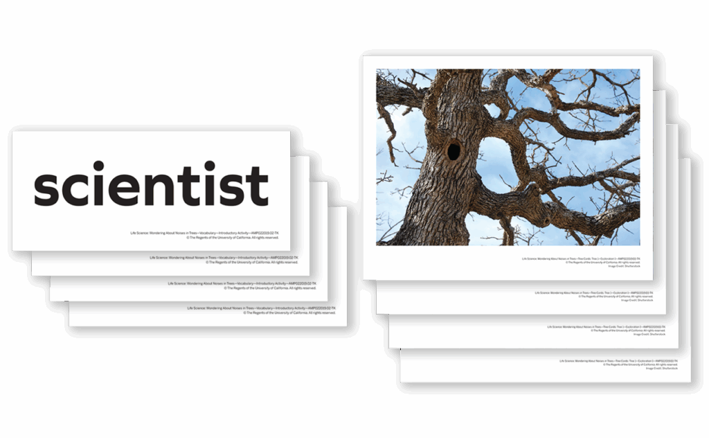 Two magazine cover mockups with the word scientist on the left and a tree photo on the right, both against a white background.