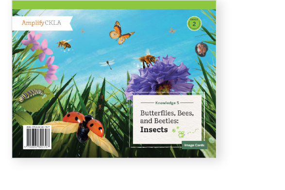 Cover of a book titled "Butterflies, Bees, and Beetles: Insects" featuring various insects, flowers, and grass under a blue sky.