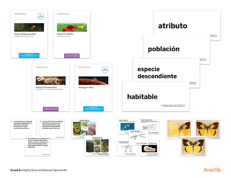 Image of Grade 8 Amplify Science Spanish Materials kit. Includes lesson cards, vocabulary cards (e.g., "atributo," "población," "especie descendiente," "habitable"), and images of butterflies.