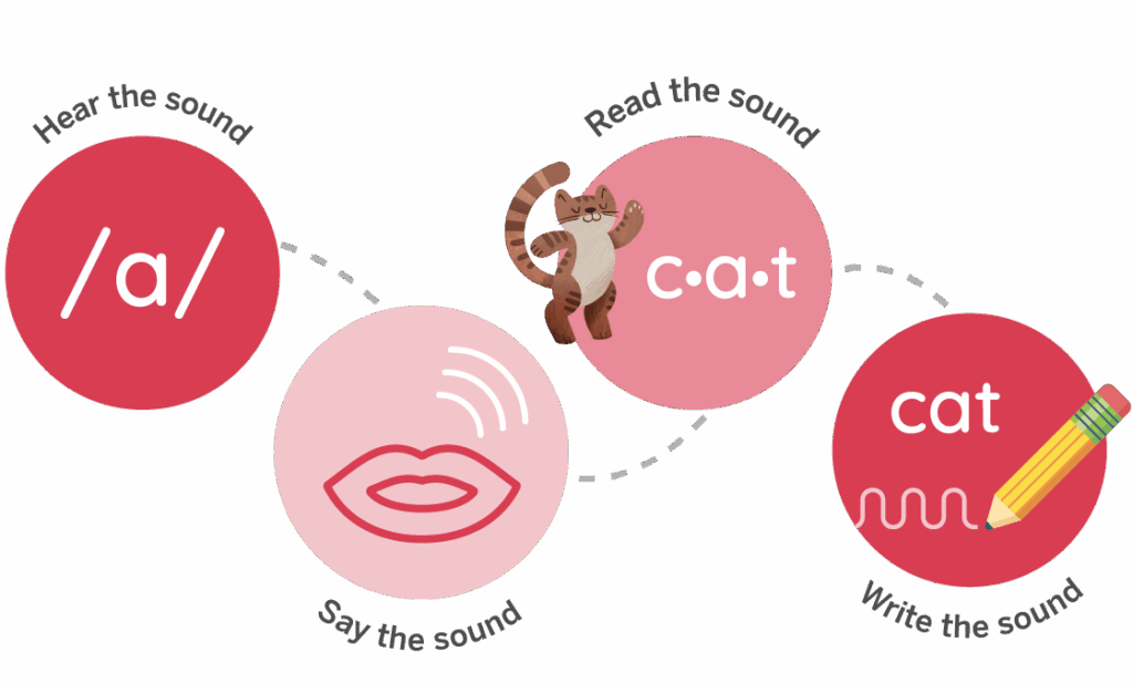 A diagram shows the steps for learning a sound: hear /a/, say the sound, read "c-a-t," and write "cat" with a pencil, featuring a cartoon cat image.
