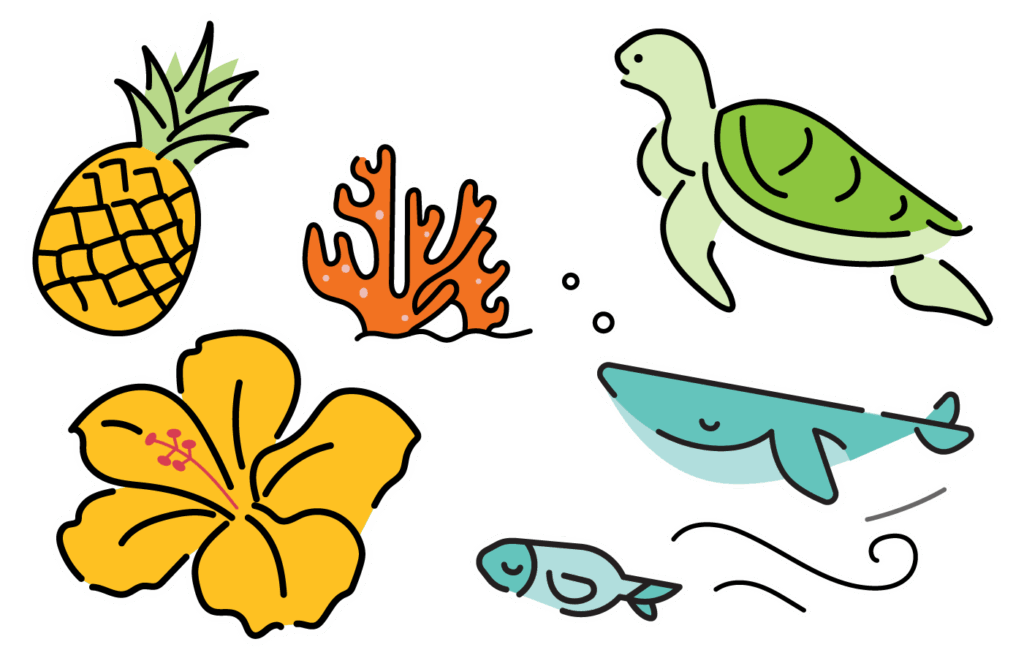Illustrated stickers of a pineapple, coral, sea turtle, whale, fish, and hibiscus flower arranged on a transparent background—perfect for Indiana elementary schools exploring nature themes with Amplify Science.
