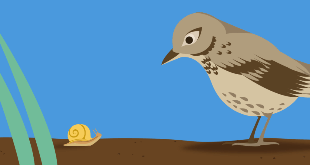 A bird stands on the ground, looking down at a yellow snail near some green grass against a blue background.