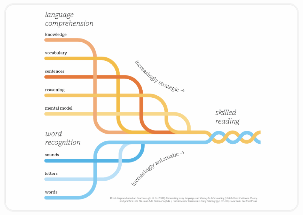 A flow chart shows language comprehension and word recognition strands merging into skilled reading, highlighting progression from basic to advanced skills—a clear visual for any K–5 literacy resource.